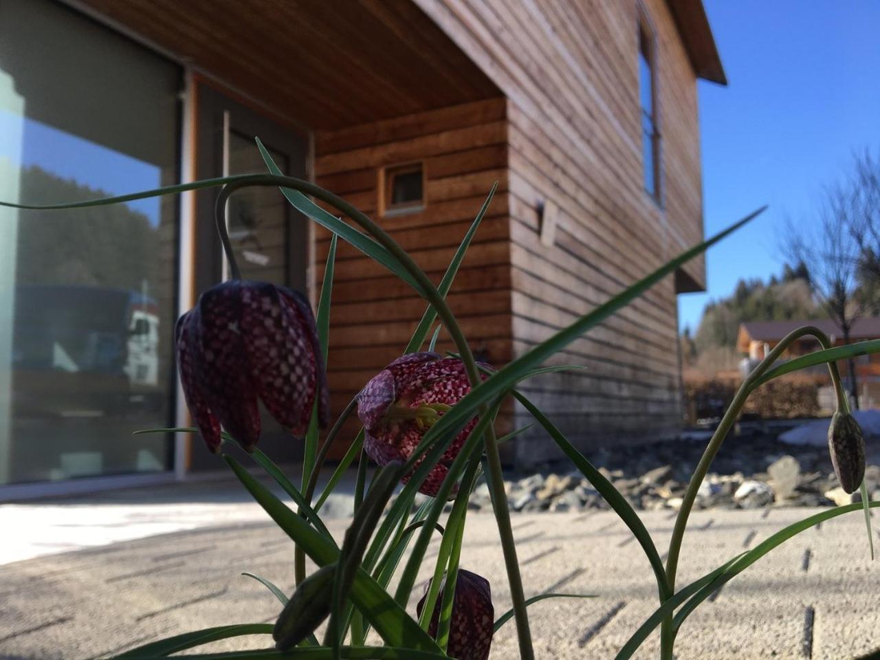 Gaestewohnung Zum Atelier Immenstadt im Allgäu Esterno foto